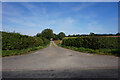 Track leading to Oxfield Farm