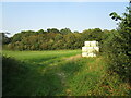 Grass field and Long Covert