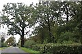 The road to Old Warden