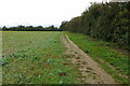 Footpath leaving Brackley