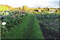 Allotments at Greatworth