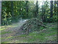 Clearing the vegetation in Wearne