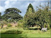 ST2885 : The Orchard, Tredegar House Gardens by Robin Drayton
