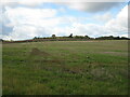 Stubble field and Hamilton Hill