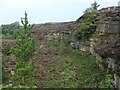 East face, Bingley quarry