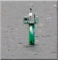J4082 : Belfast Lough: Buoy #5 by Gerald England