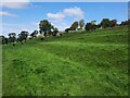 Cultivation Terraces at Eggleston