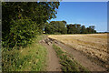 Path leading to Butterwick Road