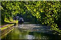 Copt Heath : Grand Union Canal