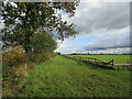 Footpath to Brough Lane