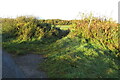 Footpath into Greatworth