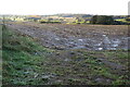 Muddy field with a view by Marston Road