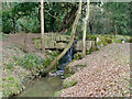 Weir on Hartsbourne Stream