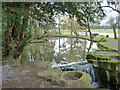 Pond on Hartsbourne Stream