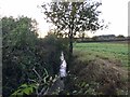 Drainage ditch by Marston Hill Cottage