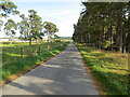 Minor road beside Carr Plantation