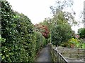 Path between houses