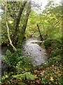 The Balmacara Burn