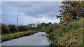 Foxhanger Marina, Wiltshire