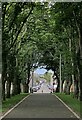 Argyle Square, Upper Pulteneytown, Caithness