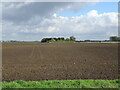 TF5309 : Flat field off School Road by JThomas