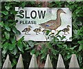 "Slow Please" - Duck protection sign in Caunton