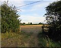 Entrance to a field south of Orton Road