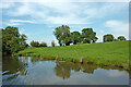 SJ9170 : Canalside pasture near Lyme Green in Cheshire by Roger  D Kidd