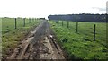 Bridleway heading to Middle Covert