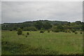 Land between the Portsmouth Direct Line and The North Downs Line