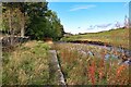 Riverside path near Middlehope Green