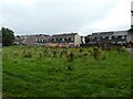 Houses near Scarlett