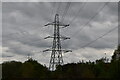 Pylon, Thackley West Wood