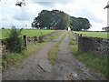 Driveway to Chambers Common Farm