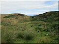 Top of Birch Dale