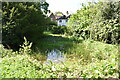 Pond near Bracken Cottage