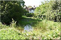 TQ5738 : Pond near Bracken Cottage by N Chadwick