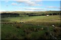 Farming and lead mining near West End