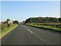 Approaching  Bean  Sheaf  crossroads   on  A169