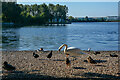 Doncaster : Lakeside Lake