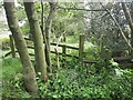 Stile on footpath between Bowser