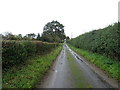 Lane towards Frog Hall Farm