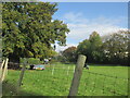 Paddocks beside Pipers lane