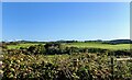 Farmland on the eastern fringes of Downpatrick