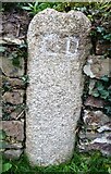 SS2702 : Old Boundary Marker by R Hanns