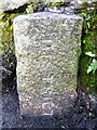 Old Boundary Marker