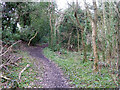 Footpath from Clamp Hill to Brook Hill