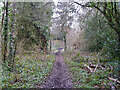 Footpath from Brook Hill to Clamp Hill