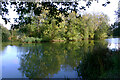 Top Lake, Birds Green Fishery