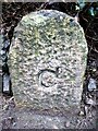 Old Boundary Marker